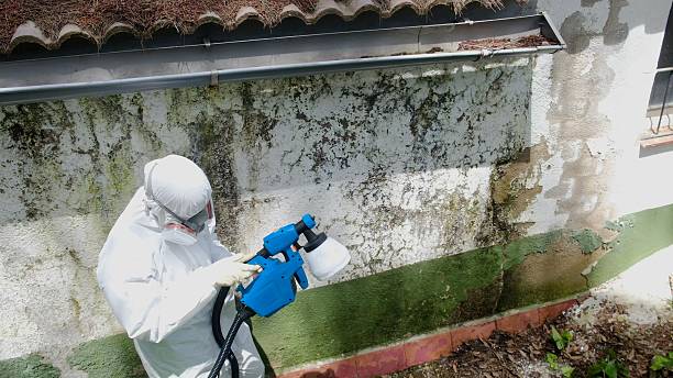 Trusted Mold Testing service in Cumberland, KY - Cheap Mold Removal